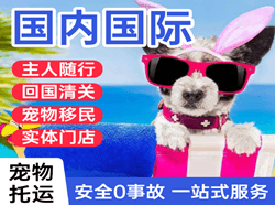 新郑机场快运国际宠物托运 【国